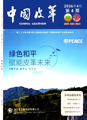 中国皮革期刊封面