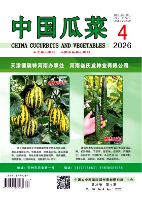 中国瓜菜期刊封面