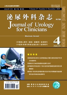 泌尿外科杂志(电子版)期刊封面