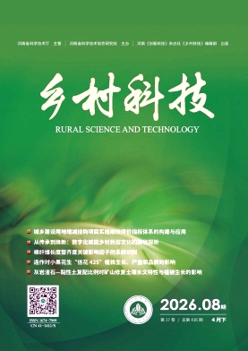 乡村科技期刊封面