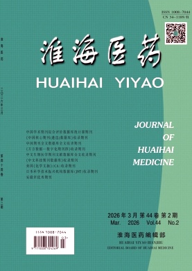 淮海医药期刊封面